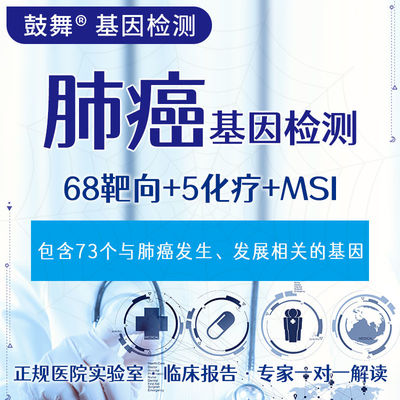 comprar Câncer de Pulmão 73 Ensaios Genéticos para o Tratamento do Câncer de Pulmão online manufacture