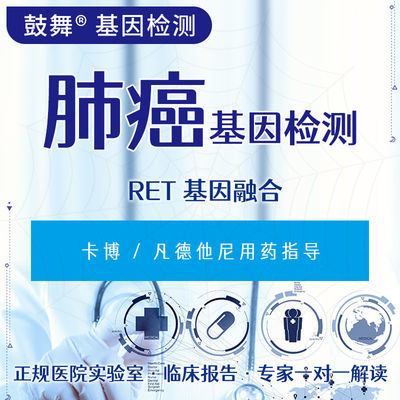 comprar RET Fusão genética FISH Testes genéticos para o cancro Ciclo de 6 dias úteis online manufacture